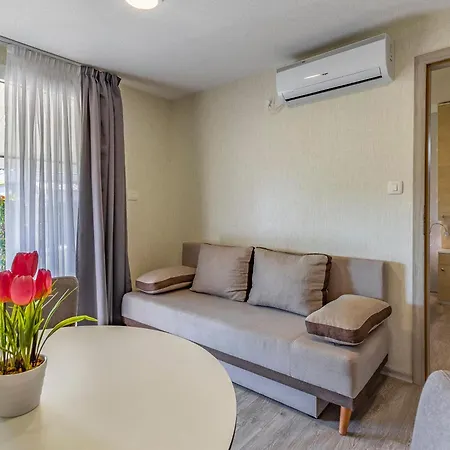 Mobile Luxury Premium-4 By Interhome * Pula